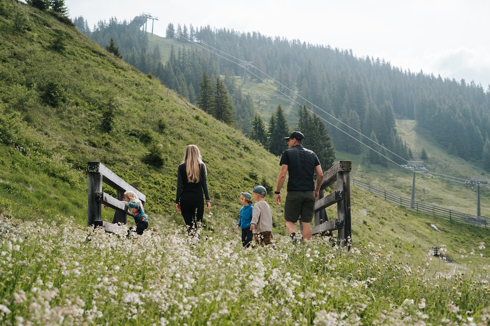 Eine Familie erkundet die Wiesen im Glemmtal, umgeben von Bergen und Blumen. Ein schöner Tag in Hinterglemm.