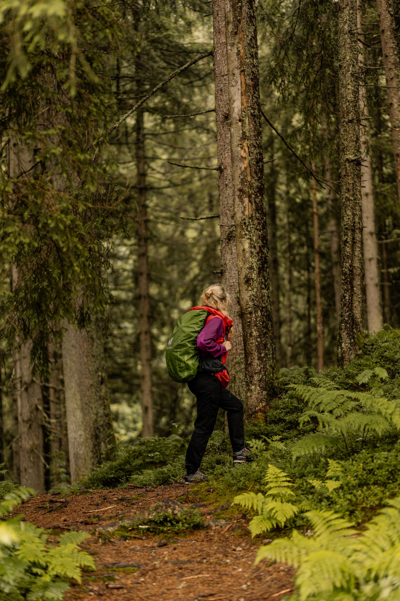 A hiker explores the forest in Glemmtal and enjoys nature.