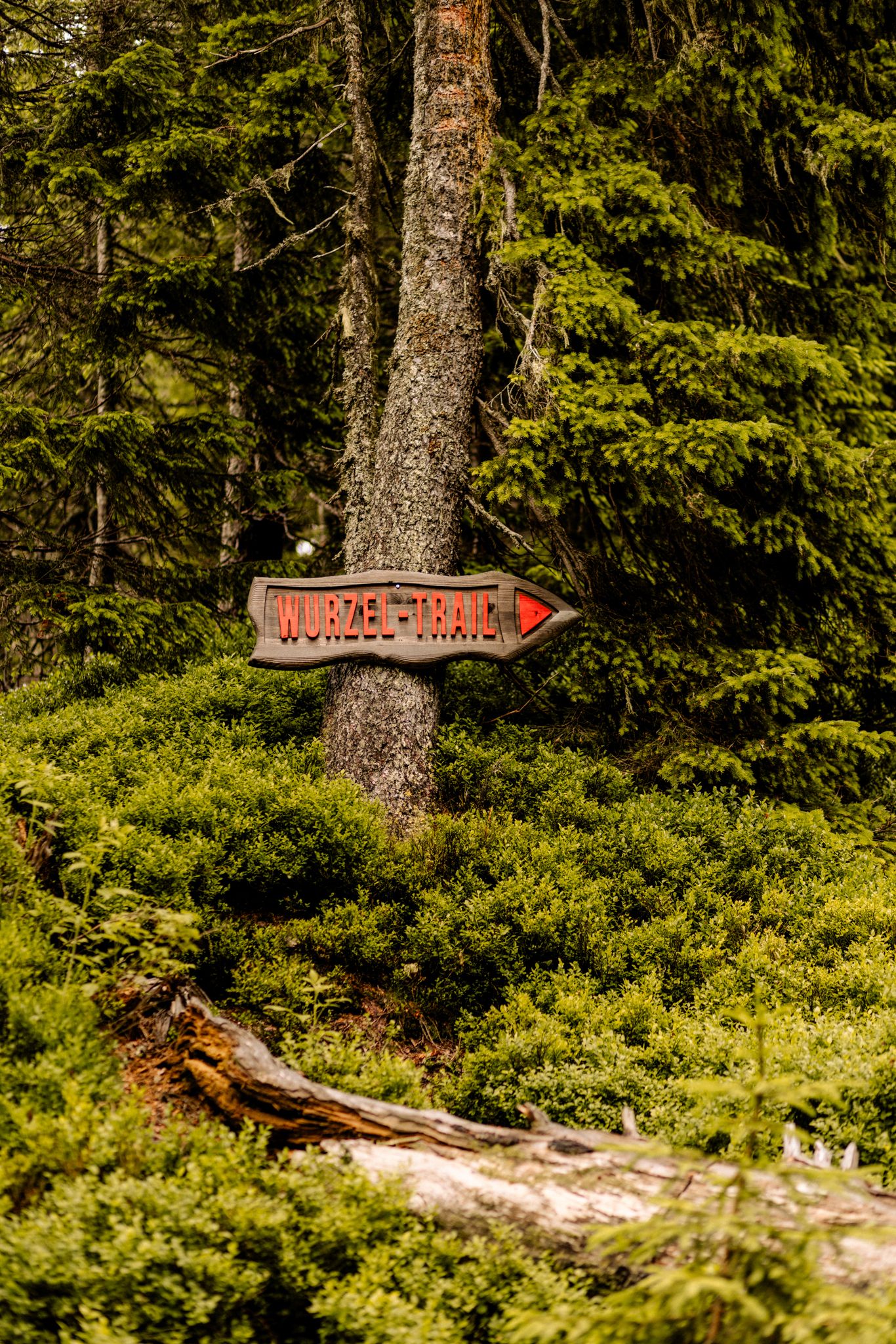 Signpost to the Wurzel Trail in Glemmtal, surrounded by lush greenery.
