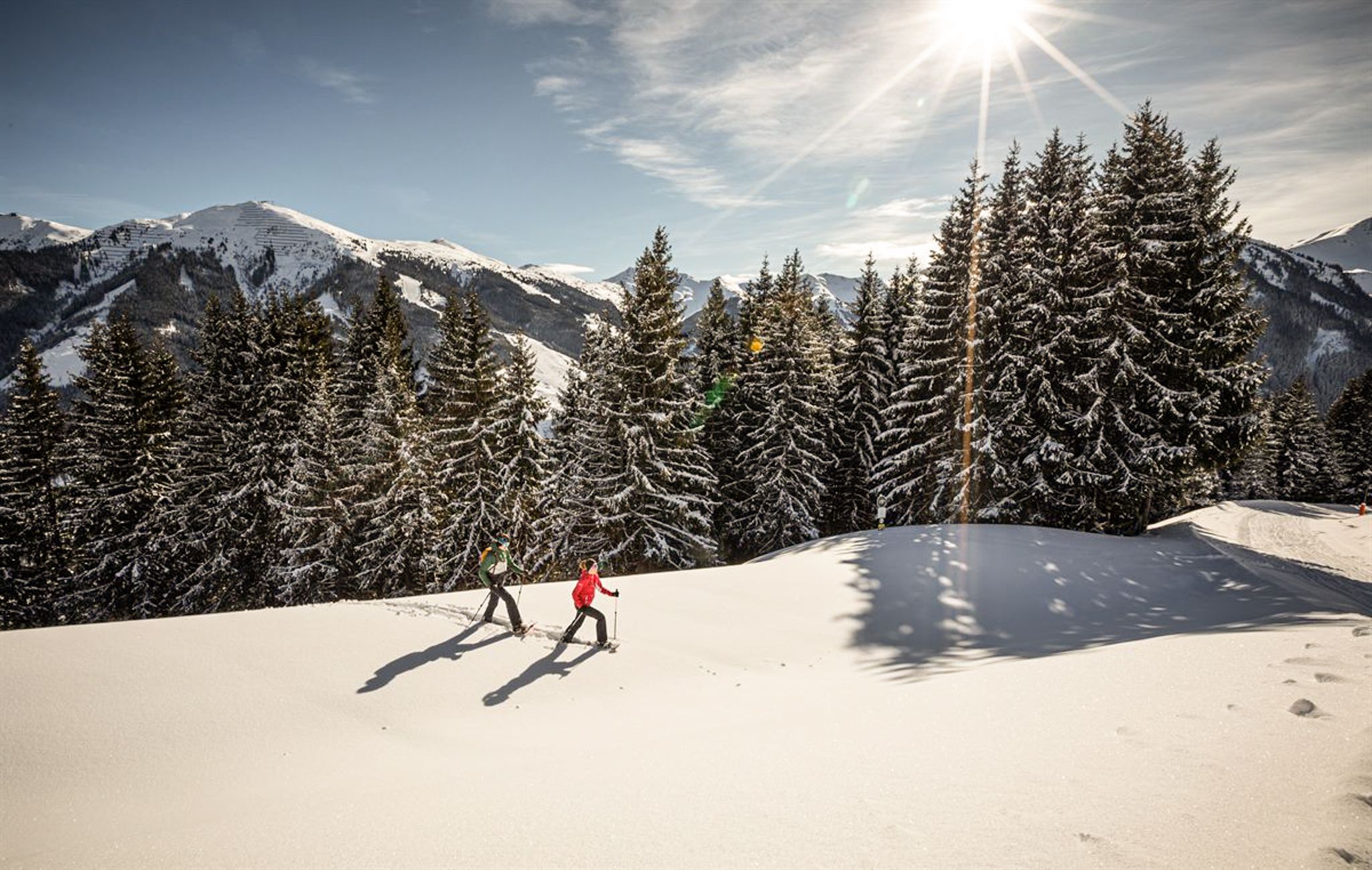 In Glemmtal, people hike through snow-covered landscapes and tall firs.