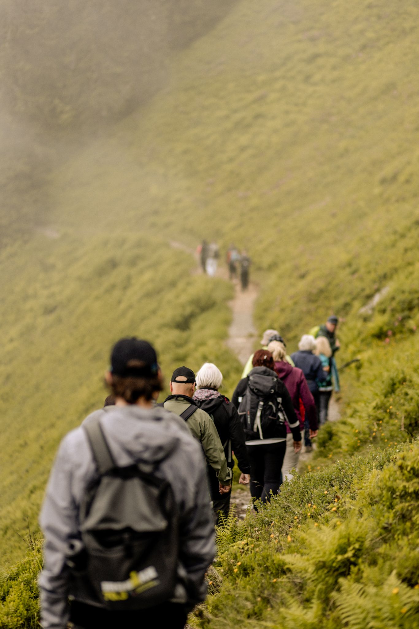 Hikers walk the path in Glemmtal, surrounded by green hills.